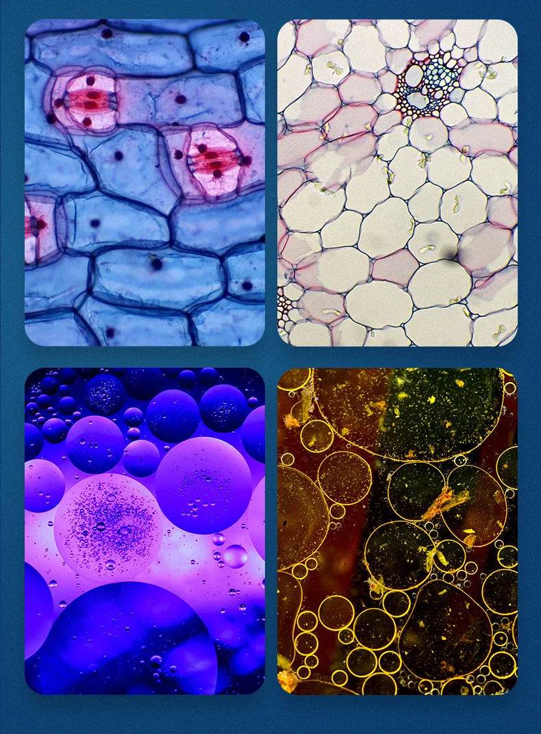 Pocket Microscope Kids Science Toy Kit 60-120x Mini Handheld Microscope with LED Light - ToylandEU