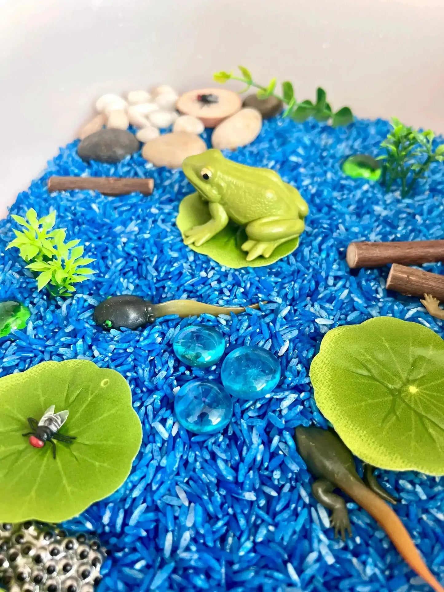 Pond Life Cycle Sensory Kit And Water Play - ToylandEU