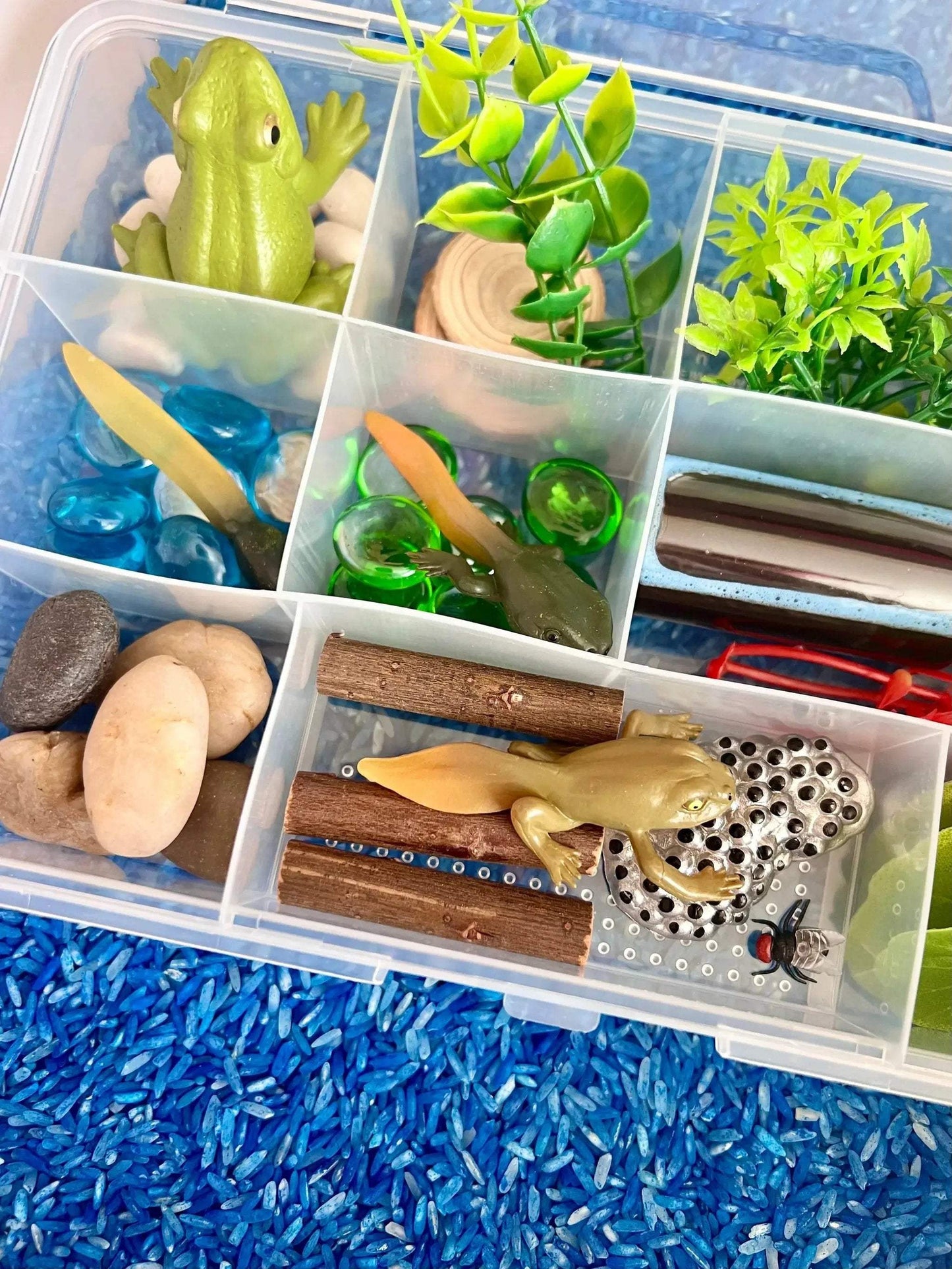 Pond Life Cycle Sensory Kit And Water Play - ToylandEU