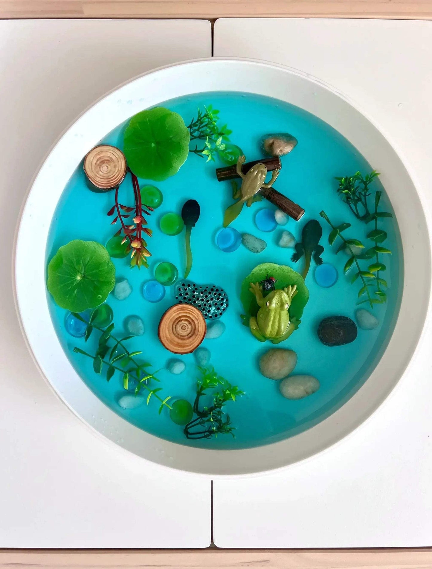 Pond Life Cycle Sensory Kit And Water Play - ToylandEU