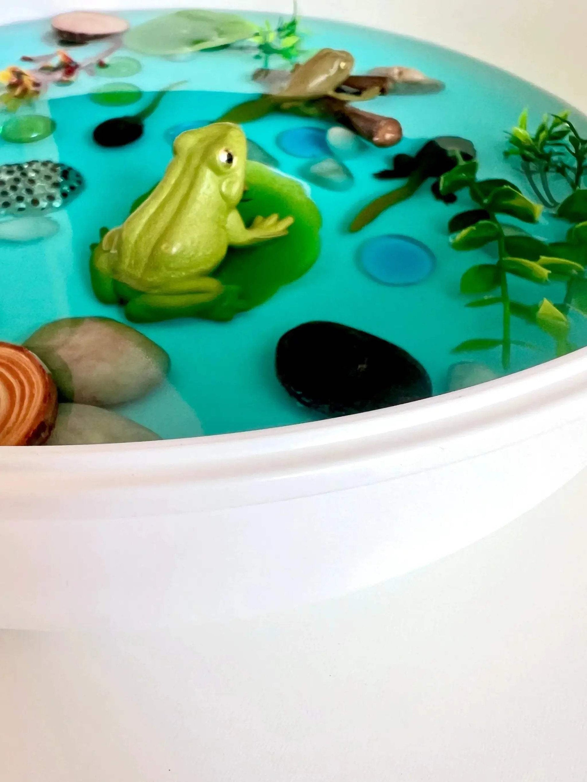 Pond Life Cycle Sensory Kit And Water Play - ToylandEU