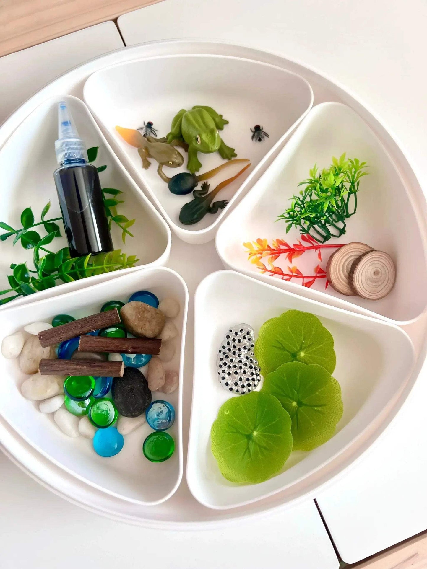 Pond Life Cycle Sensory Kit And Water Play - ToylandEU