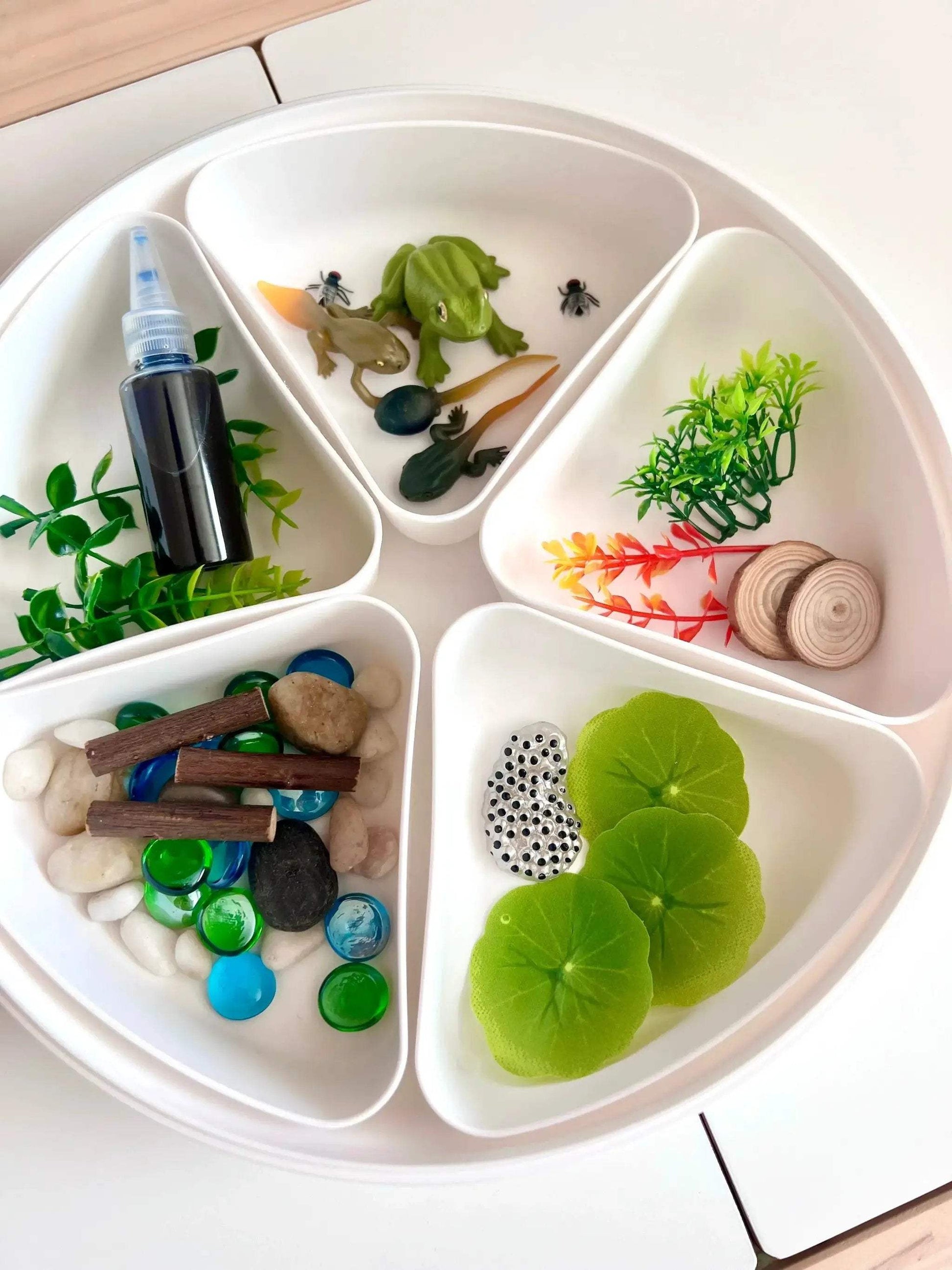 Pond Life Cycle Sensory Kit And Water Play - ToylandEU