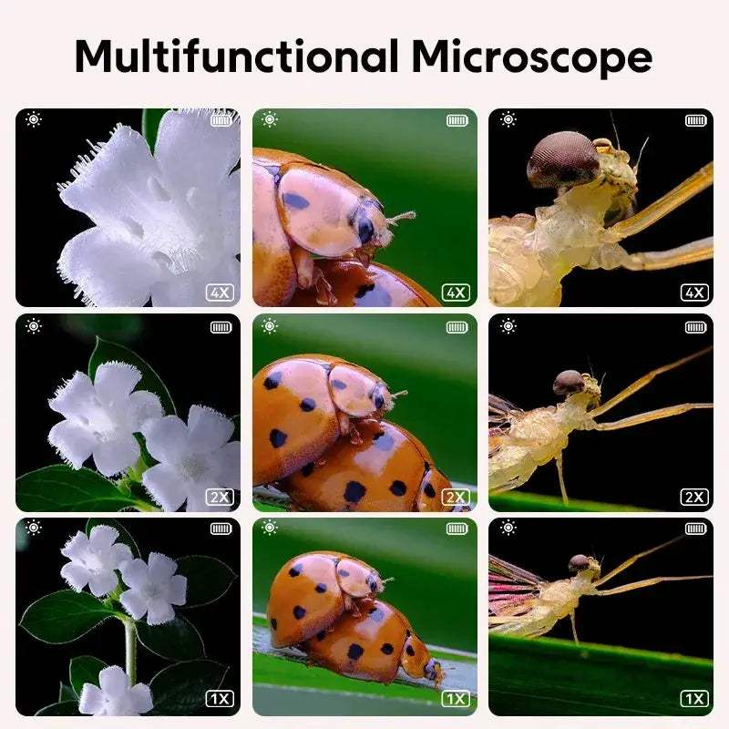 Portable Kids Microscope Digital Handheld Educational Science Toy - ToylandEU