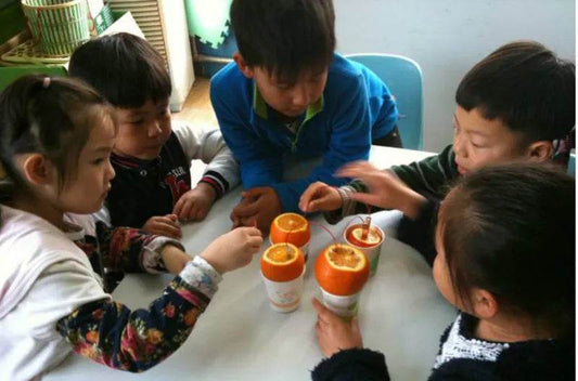 Potato Power! Fun Biologia Energy Science Kit for Kids - ToylandEU