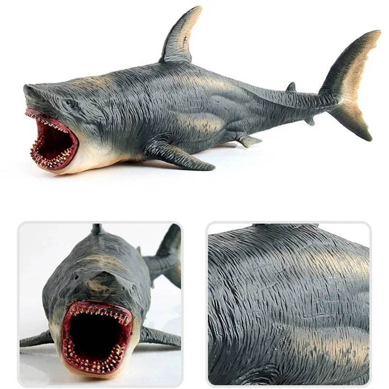 Premium Action Figure Helicoprion Sea Life Models For Kids - ToylandEU