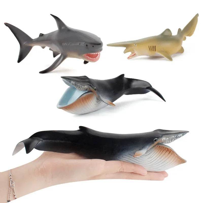 Premium Action Figure Helicoprion Sea Life Models For Kids - ToylandEU