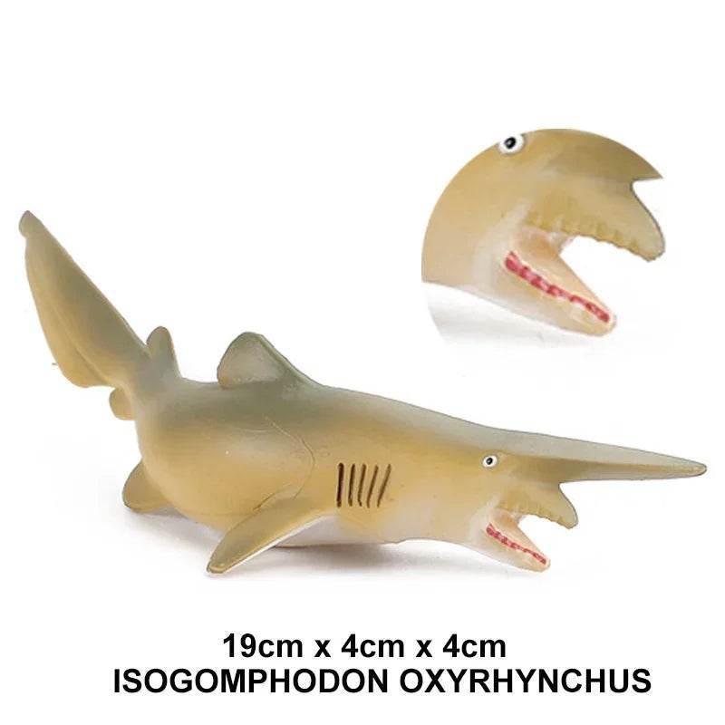 Premium Action Figure Helicoprion Sea Life Models For Kids - ToylandEU