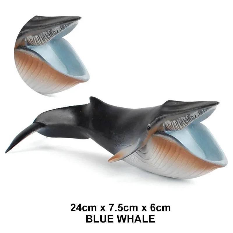 Premium Action Figure Helicoprion Sea Life Models For Kids - ToylandEU