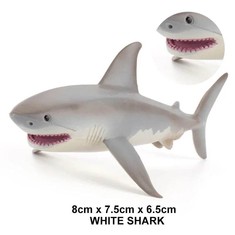 Premium Action Figure Helicoprion Sea Life Models For Kids - ToylandEU