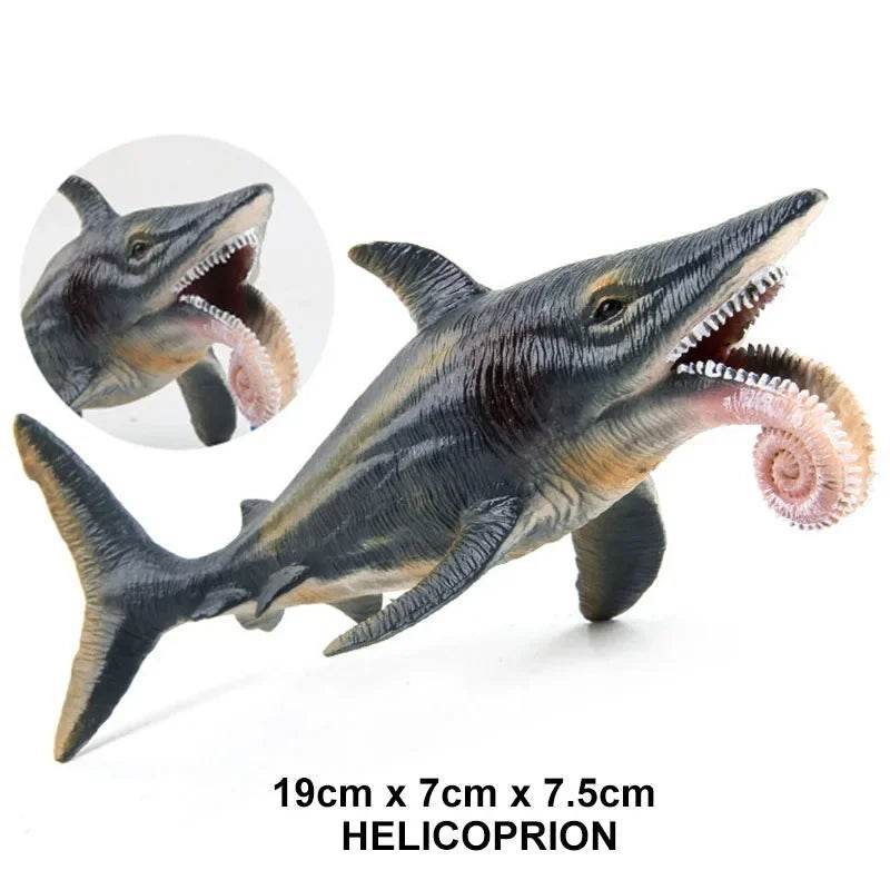 Premium Action Figure Helicoprion Sea Life Models For Kids - ToylandEU