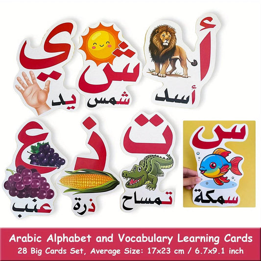 Premium Arabic Alphabet Learning Cards Durable Classrooms - ToylandEU