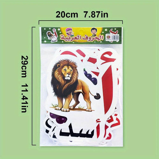 Premium Arabic Alphabet Learning Cards Durable Classrooms - ToylandEU