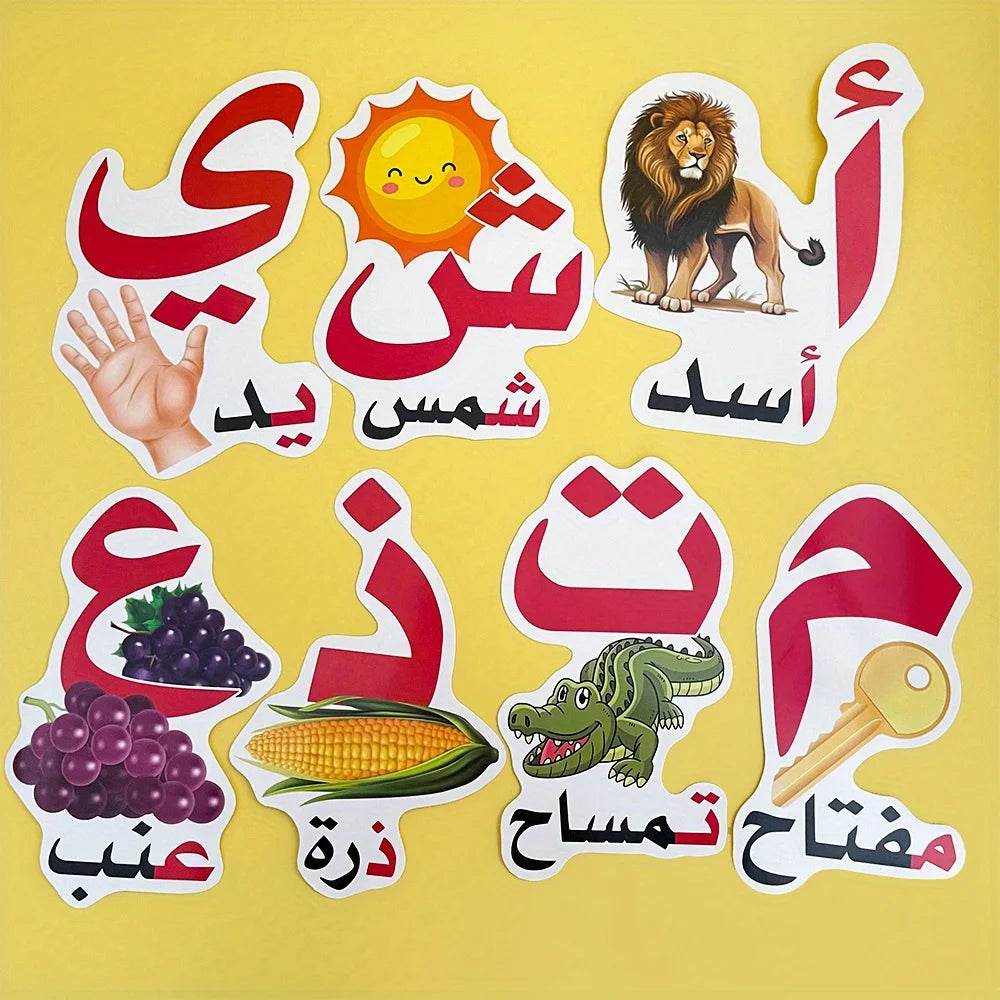 Premium Arabic Alphabet Learning Cards Durable Classrooms - ToylandEU