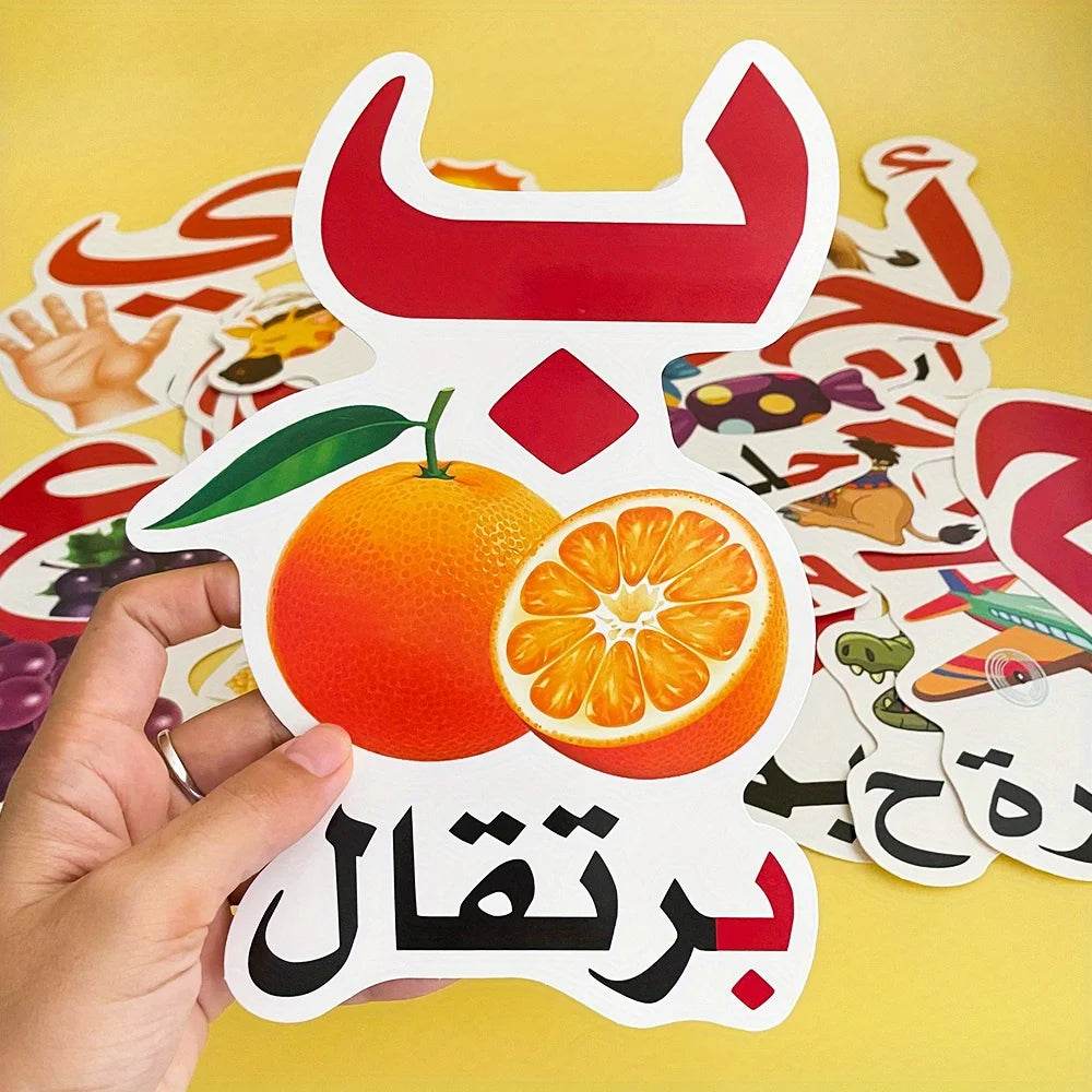 Premium Arabic Alphabet Learning Cards Durable Classrooms - ToylandEU