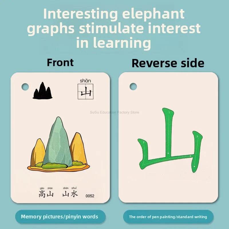 Premium Chinese Pinyin Hanzi Cards Double Literacy For Kids - ToylandEU