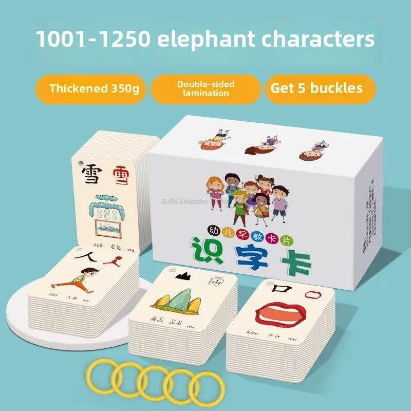 Premium Chinese Pinyin Hanzi Cards Double Literacy For Kids - ToylandEU