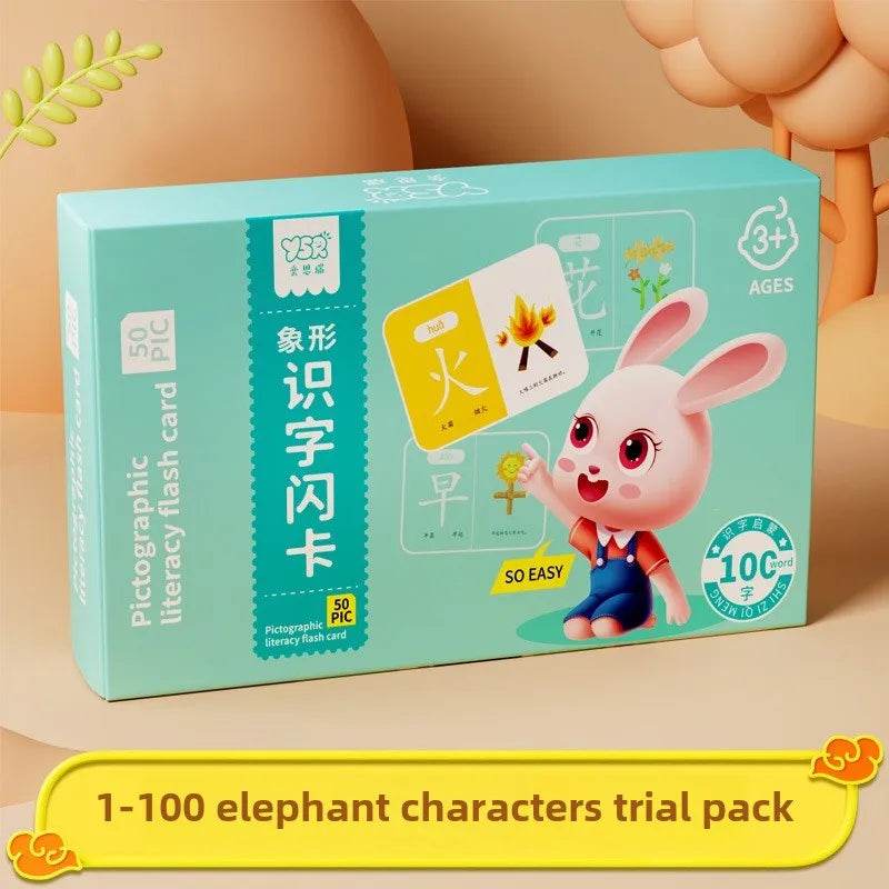 Premium Hanzi Pinyin Cards Double Hanzi For Five To Eight - ToylandEU