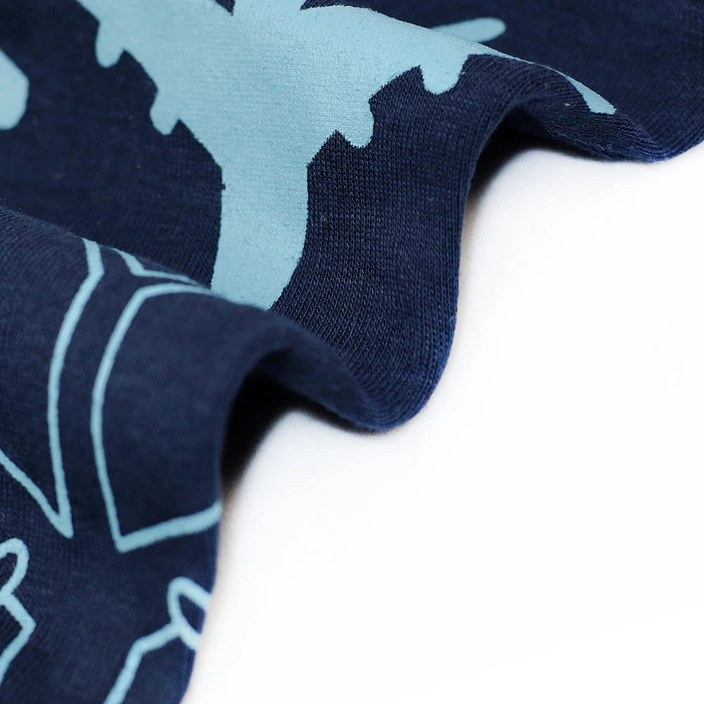 Premium Kids Pajama Sets 100 Percent Cotton Knit Cozy Nightwear For Boys Ages 4 To 6 - ToylandEU