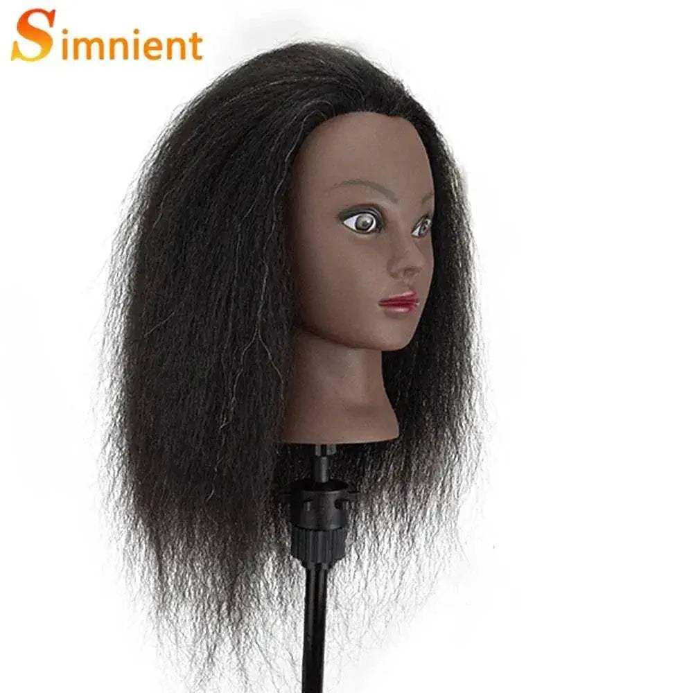  Premium Mannequin Head Afro Braiding Toyland EU -  ToylandEU™