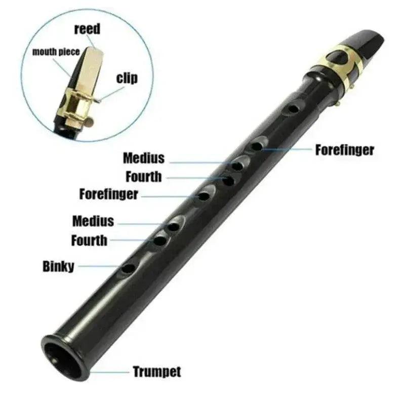  Premium Mini Pocket Saxophone with Carrying Bag - GIOIO -  ToylandEU™