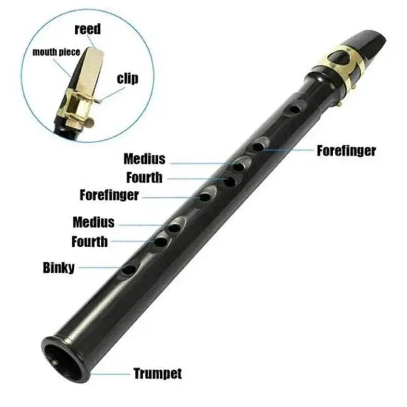 Premium Mini Pocket Saxophone with Carrying Bag for Aspiring Musicians - ToylandEU