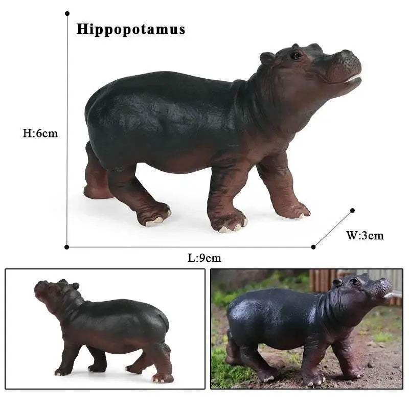 Premium PVC Wild Animal Model Set Lifelike Figures For Kids - ToylandEU