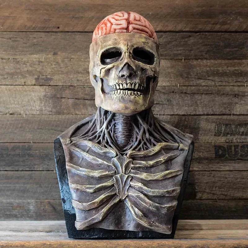 Premium Skeleton Mask 3D Movable Jaw For Halloween Cosplay - ToylandEU