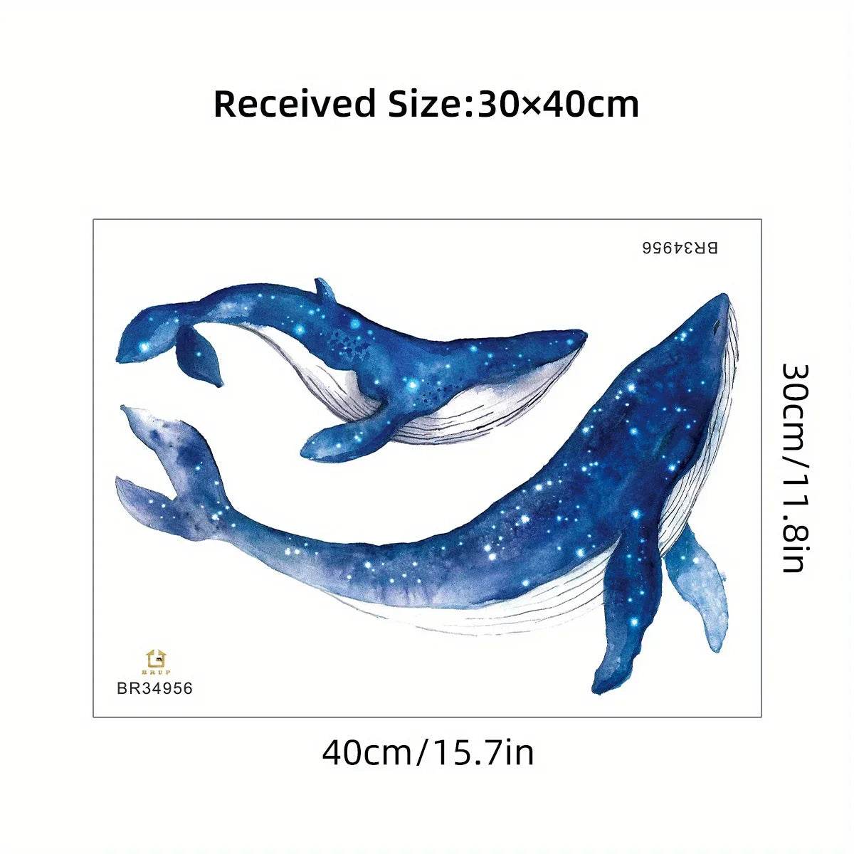 Premium Wall Sticker Watercolor Whale For Baby Room - ToylandEU