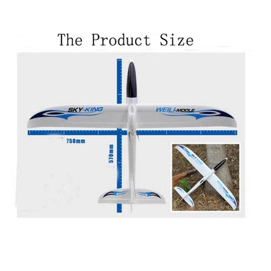 RC Beginner-Friendly Sky Master F959s RC Airplane with Gyro Stability - ToylandEU