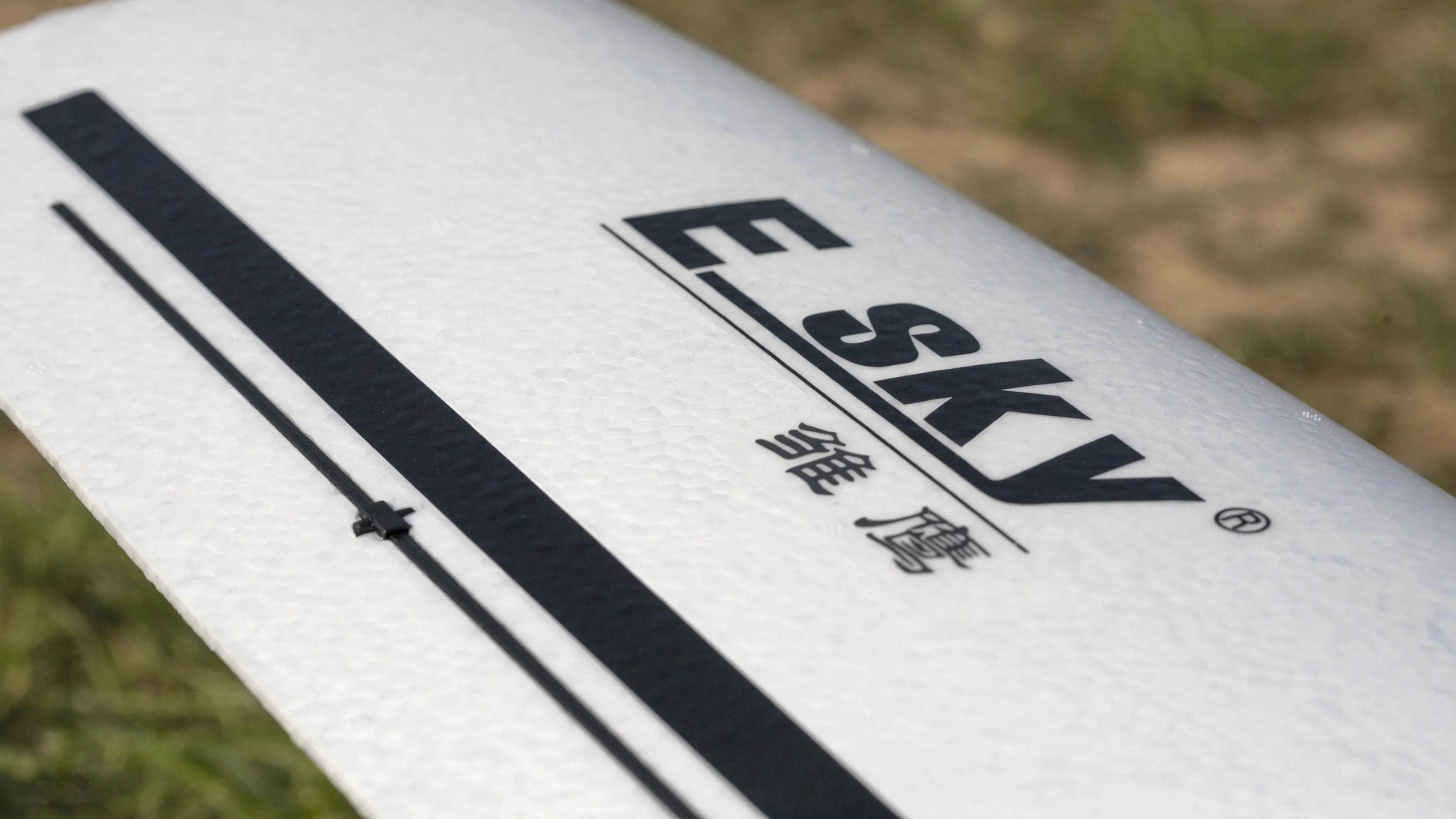 RC Esky Eagle Beginner Brushless RC Fixed-Wing Combat Drone Electric Model PNP - ToylandEU