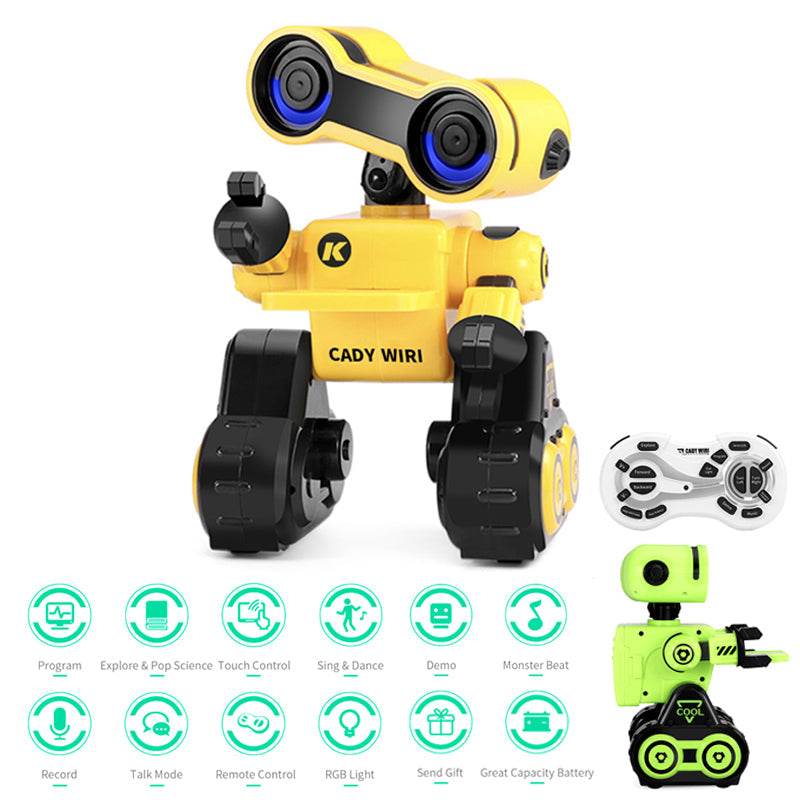 RC Interactive Remote Control Robot Toy for Kids Aged 8 and Up - ToylandEU