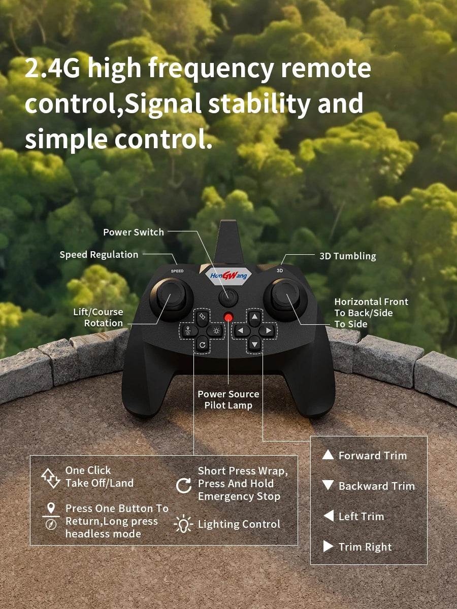 RC Plane Remote Control 2.4G EPP 360 Degree Rotation Dinosaur Glider - ToylandEU