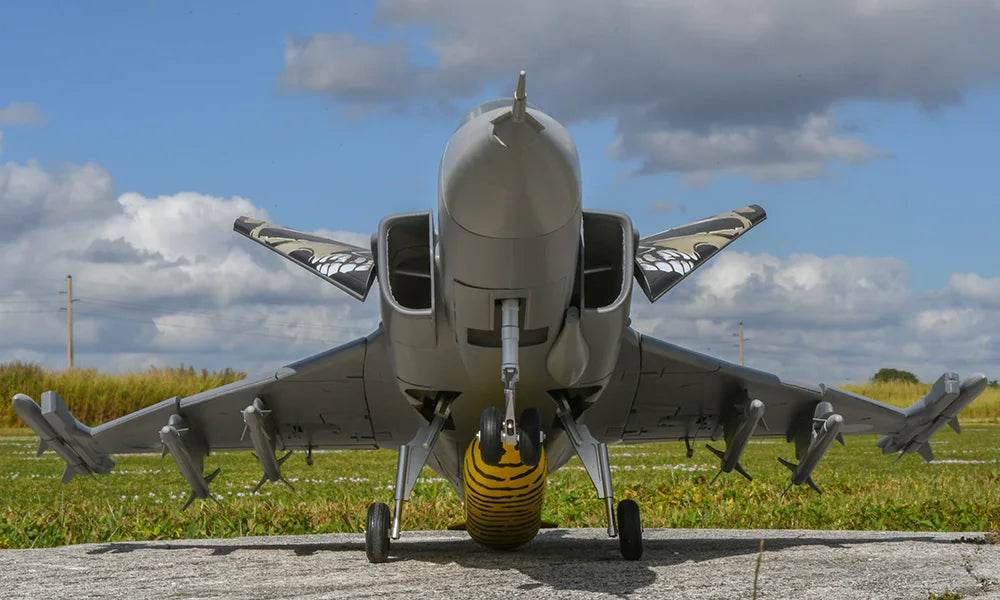 RC RC JAS-39 Gripen Remote Control Plane - 6CH Military Aircraft with NATO, Czech Republic, Swedish, and Hungarian Air Force Designs - ToylandEU