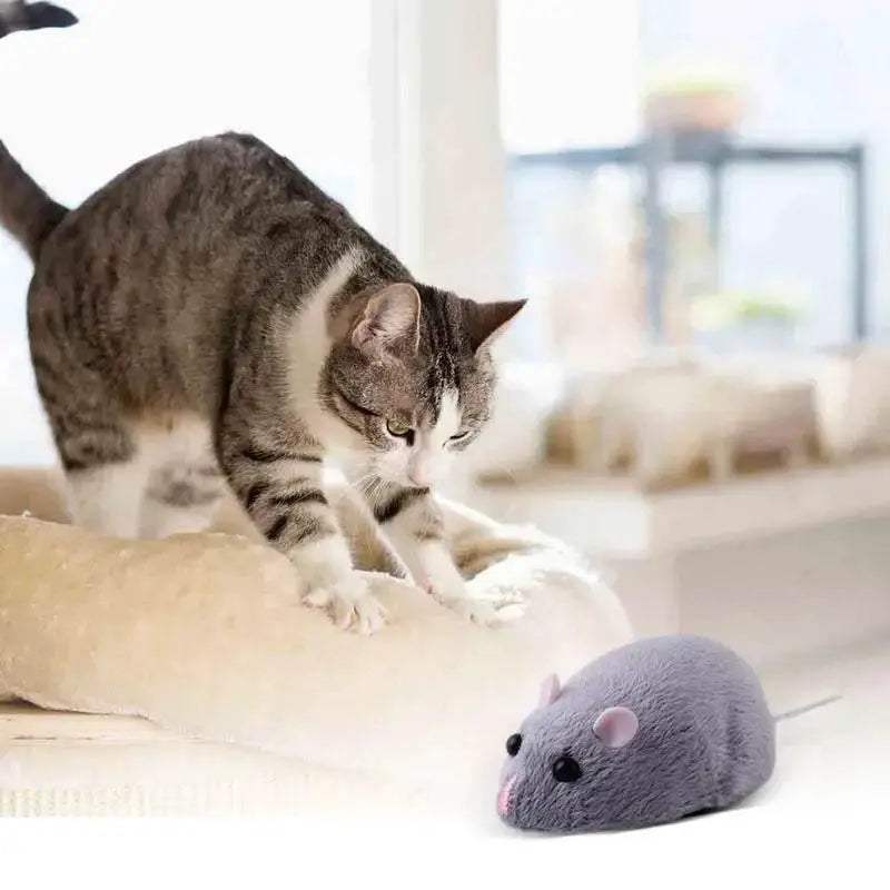  RC Remote Control Prank Mouse Toy – Fun for Kids and Playful Pets! -  ToylandEU™