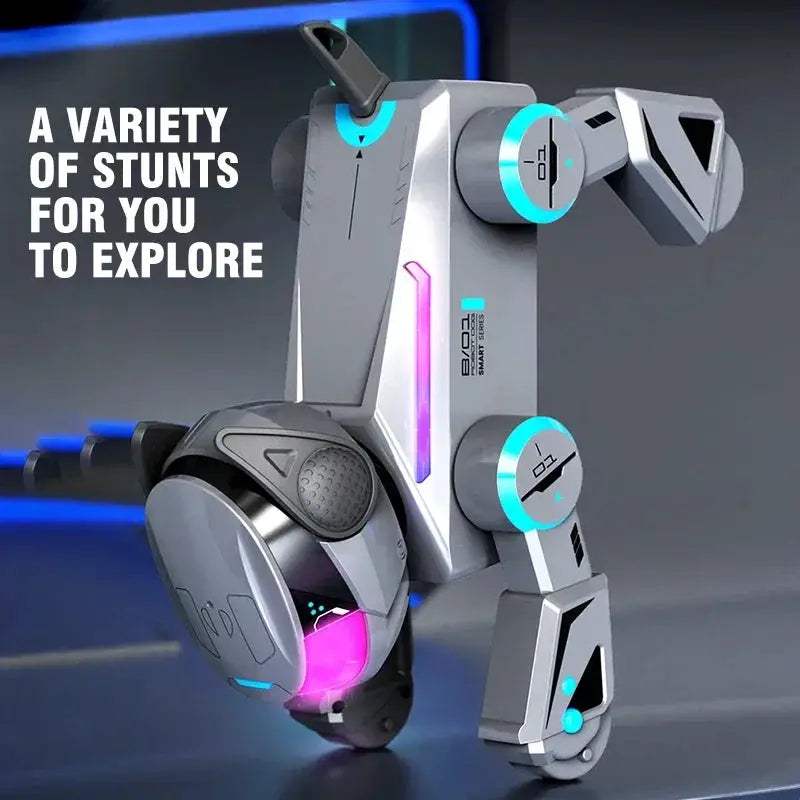  RC Robot Dog Dancing Moves Educational STEM Toy -  ToylandEU™