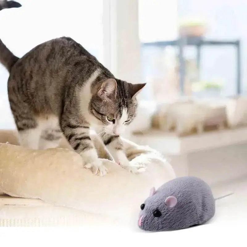  RC Remote Control Prank Mouse Toy – Fun for Kids and Playful Pets! -  ToylandEU™