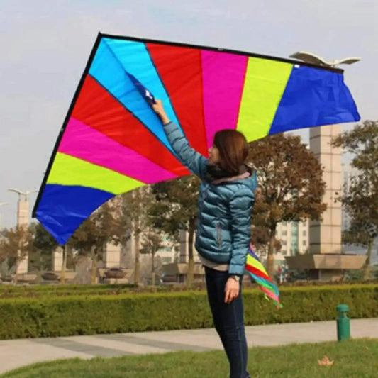  Rainbow Fly Kite Beginner Delta Kite for Outdoor Fun -  ToylandEU™