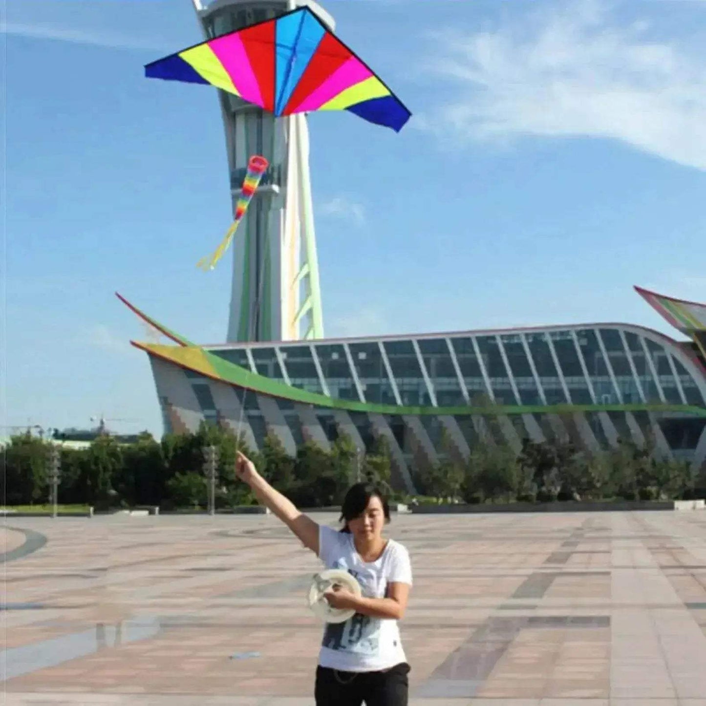  Rainbow Fly Kite Beginner Delta Kite for Outdoor Fun -  ToylandEU™
