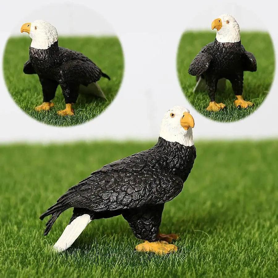  Realistic Birds Of Prey Figurines Set 1 Toyland EU -  ToylandEU™