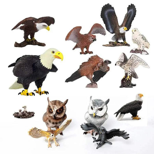  Realistic Birds Of Prey Figurines Set 1 Toyland EU -  ToylandEU™