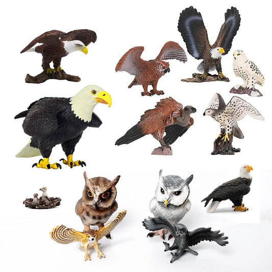 Realistic Birds Of Prey Figurines Set Educational For Kids - ToylandEU