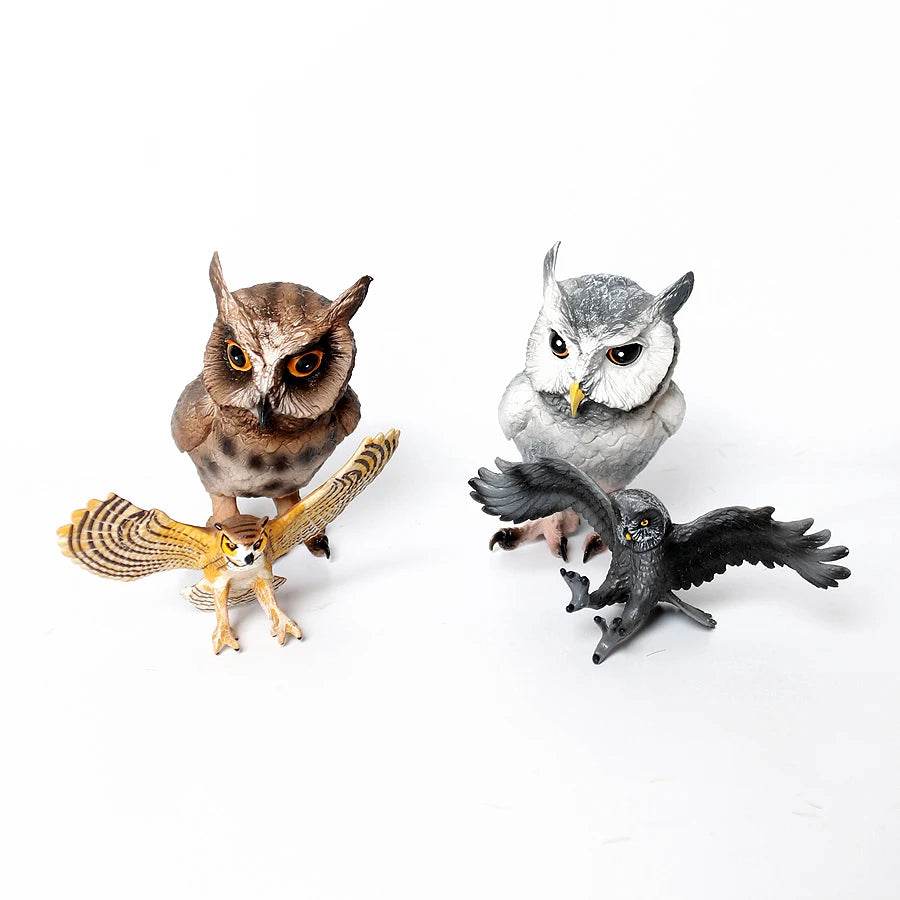 Realistic Birds Of Prey Figurines Set Educational For Kids - ToylandEU