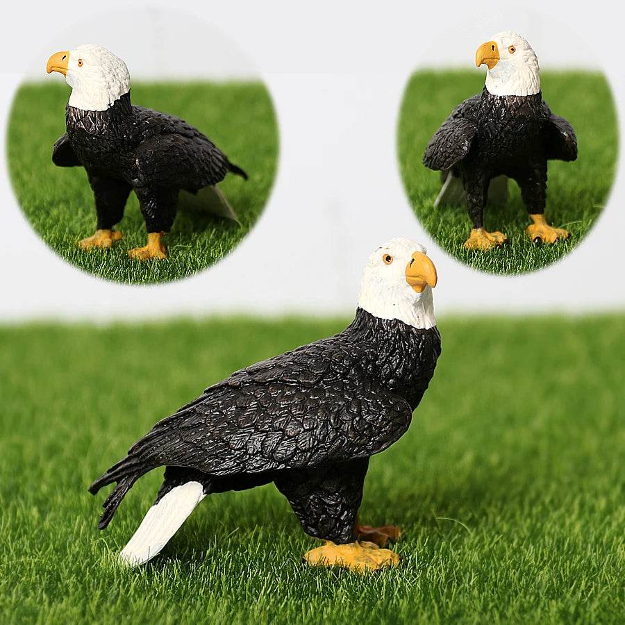 Realistic Birds Of Prey Figurines Set Educational For Kids - ToylandEU