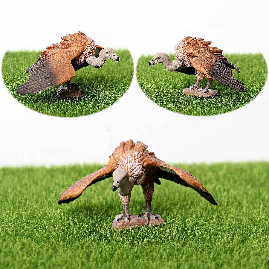 Realistic Birds Of Prey Figurines Set Educational For Kids - ToylandEU