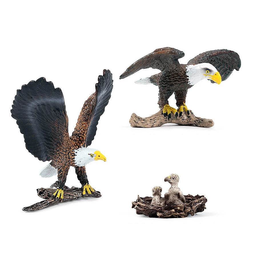Realistic Birds Of Prey Figurines Set Educational For Kids - ToylandEU