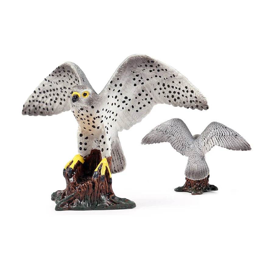 Realistic Birds Of Prey Figurines Set Educational For Kids - ToylandEU