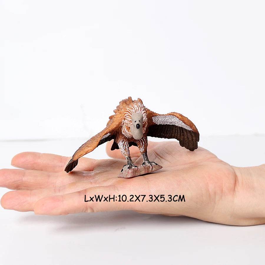 Realistic Birds Of Prey Figurines Set Educational For Kids - ToylandEU