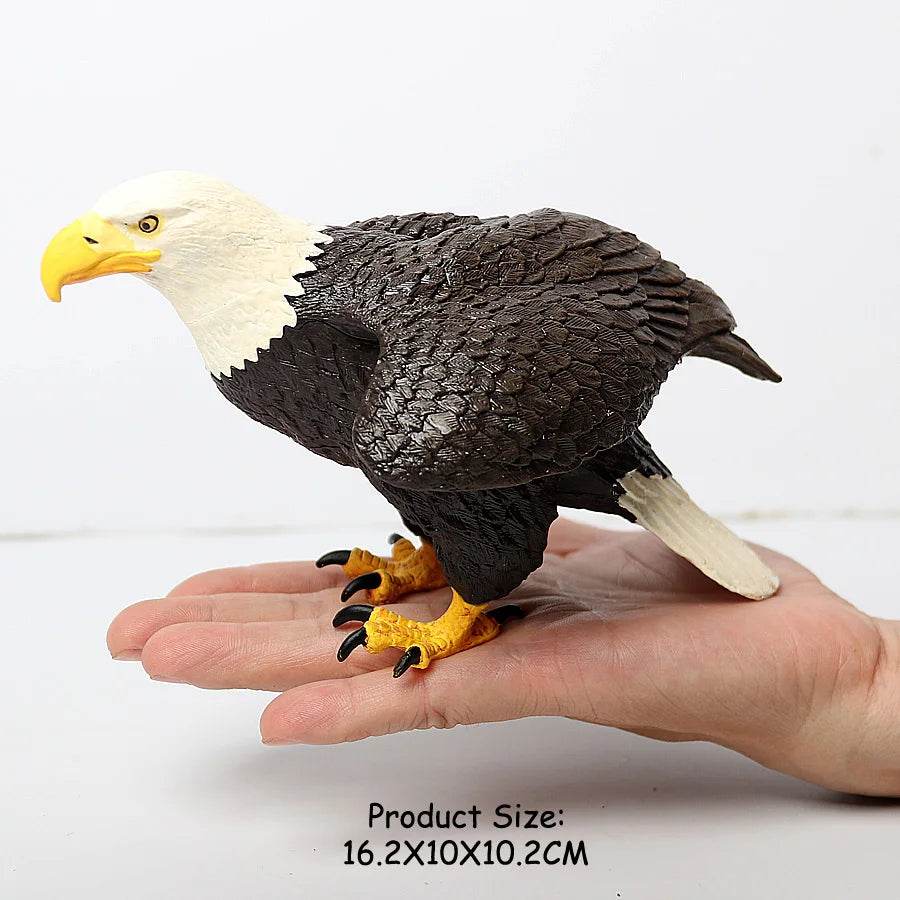 Realistic Birds Of Prey Figurines Set Educational For Kids - ToylandEU