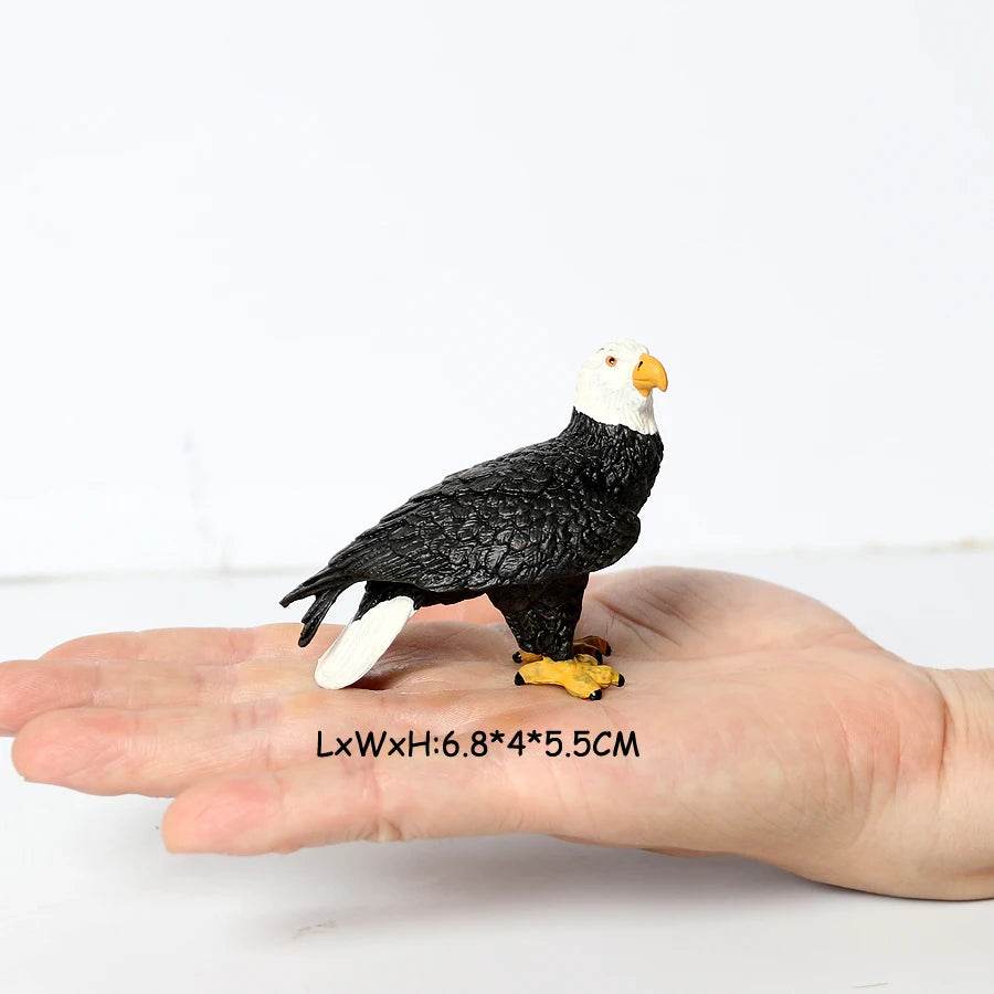 Realistic Birds Of Prey Figurines Set Educational For Kids - ToylandEU